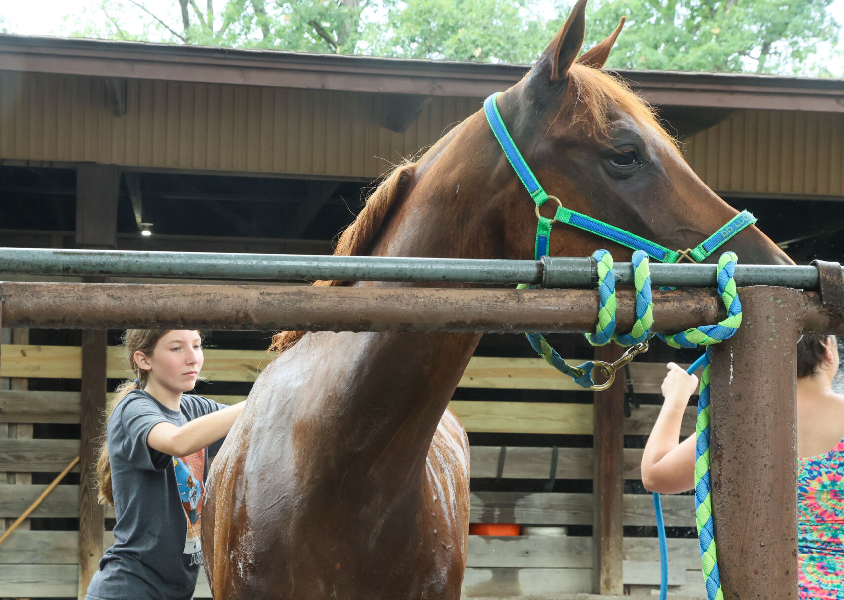 Food and fun at the Lake County Fair.